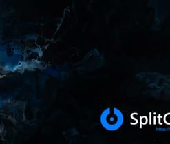 Sarsei