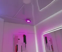 Leia_laurent