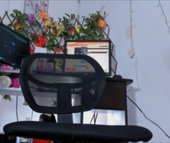 Webcam de tacherie