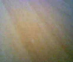 Webcam de Carix